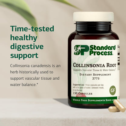 Standard Process Collinsonia Root – Vascular Tissue and Kidney Health Supplement, 150 Capsules