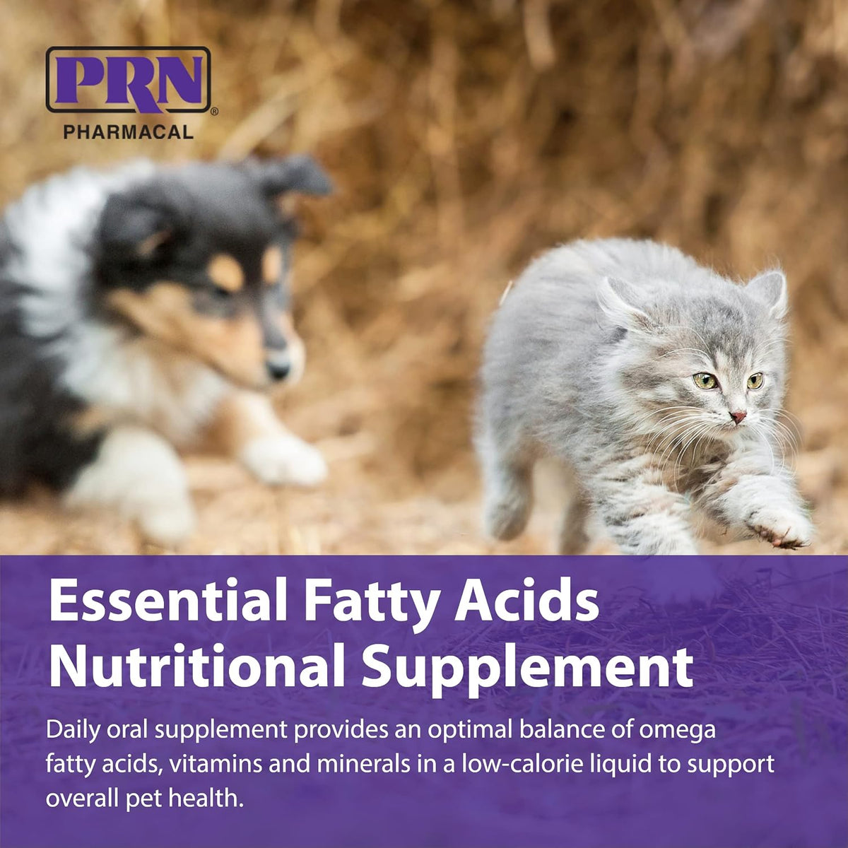 PRN Pharmacal Optima 365 Essential Fatty Acids Nutritional Supplement for Cats and Dogs – 3.8 L - görsel 5