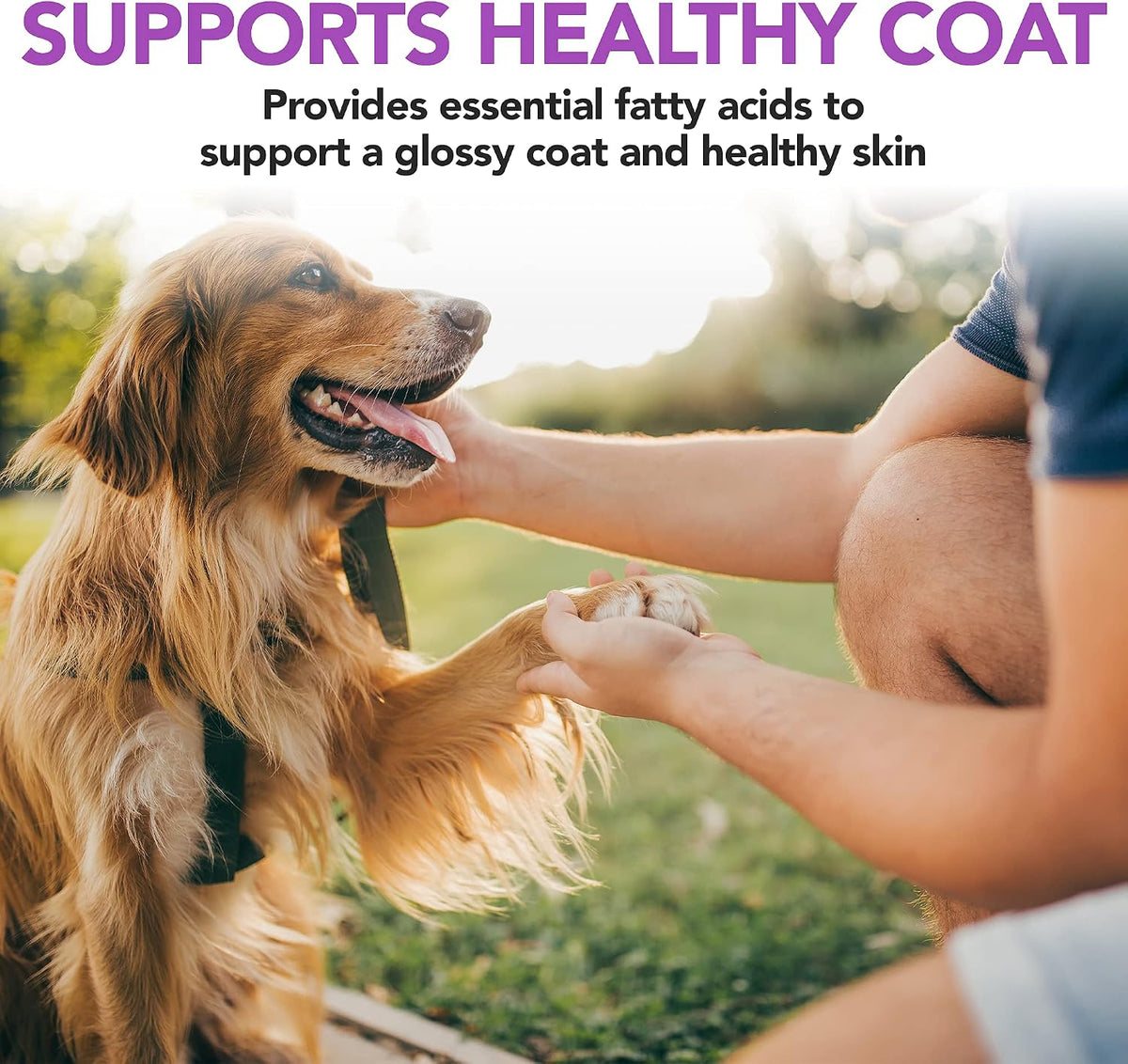 Vet's Best Brewer’s Yeast & Garlic Chews, Omega 3 for Dogs Healthy Skin & Coat Protection, 60 ct – Image 5