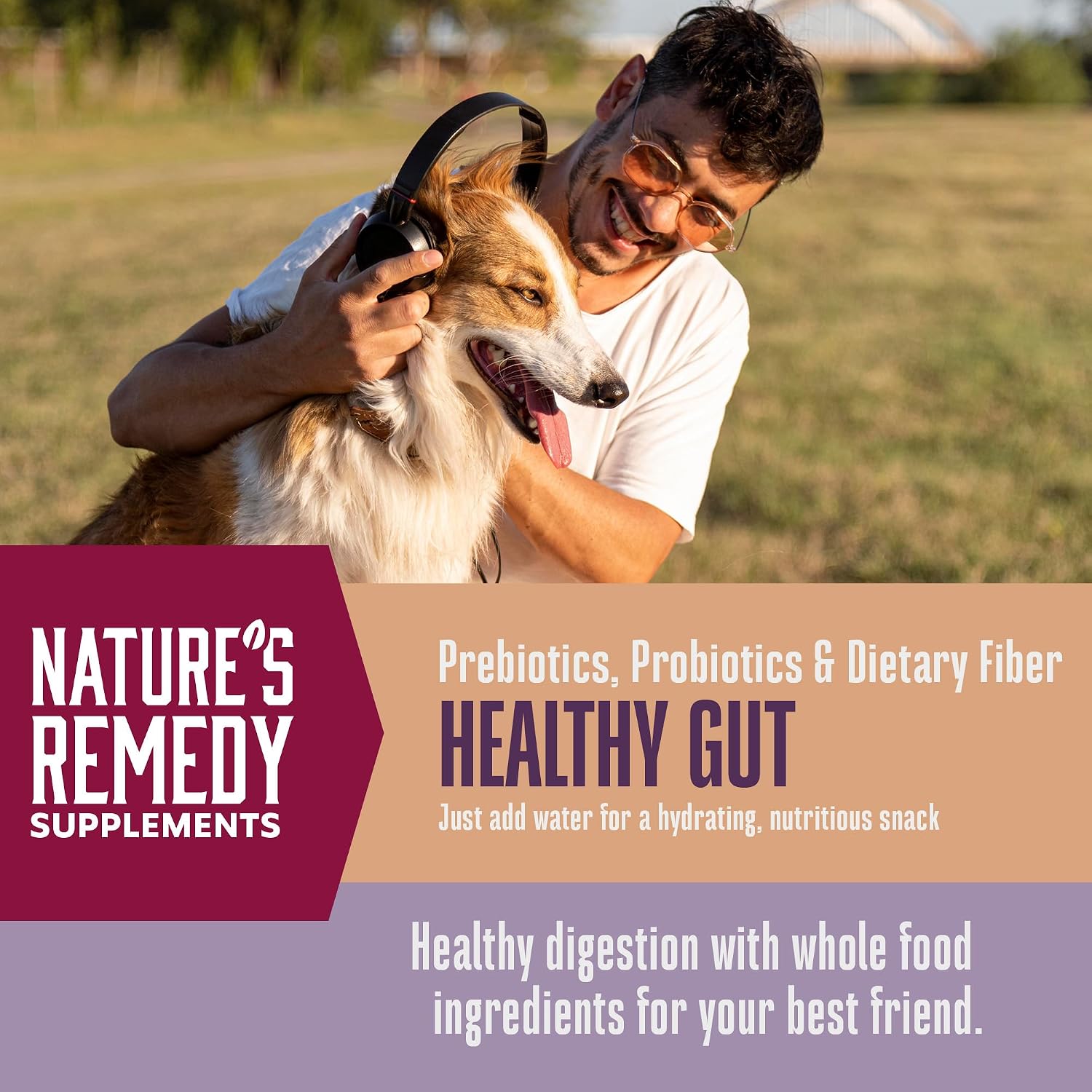 Whole Life Pet Healthy Gut Daily Dog Supplement – Human-Grade Probiotics for Digestive Support, 90 Servings - görsel 4
