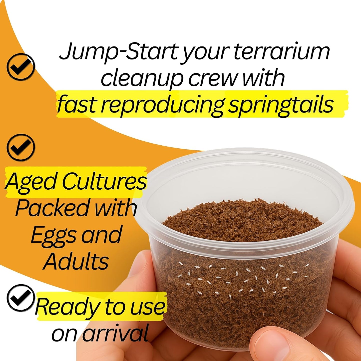 Bioactive Combo | 25 Powder Orange Isopods | 8 oz Coco Temperate Springtails | Live Delivery Guaranteed - görsel 4