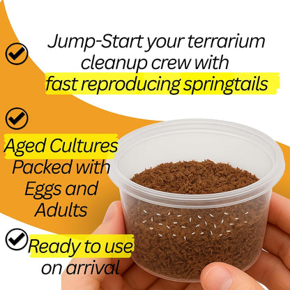 Bioactive Combo | 25 Powder Orange Isopods | 8 oz Coco Temperate Springtails | Live Delivery Guaranteed