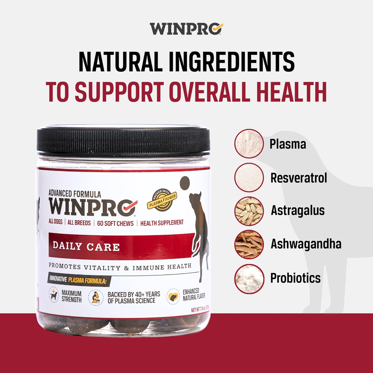 WINPRO Pet Daily Care Chews for Dogs (60 Soft Chews) - Plasma-Powered Immune Support - görsel 2