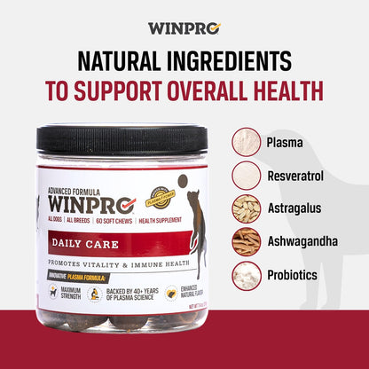 WINPRO Pet Daily Care Chews for Dogs (60 Soft Chews) - Plasma-Powered Immune Support