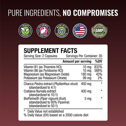 Approved Science Stonexyl - Herbal Support for Kidney Stones - 360 Capsules - Chanca Piedra - High Absorption - 6 Month Supply - Vegan