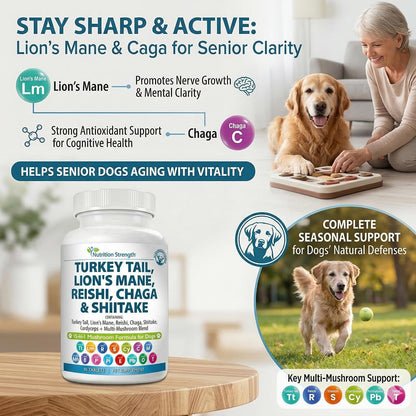 Nutrition Strength 15-in-1 Mushroom Support for Dogs | Immune System and Cognitive Health | 90 Chewable Tablets