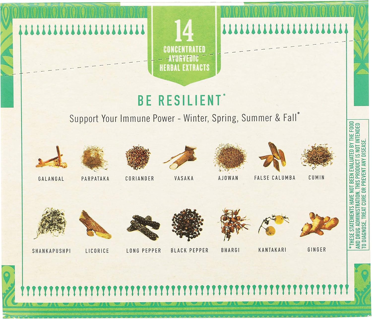 Herbal Zap Instantly Dissolving Ayurveda Digestive & Immune Support – Vata Kapha Balance – 25 Count Box - görsel 2