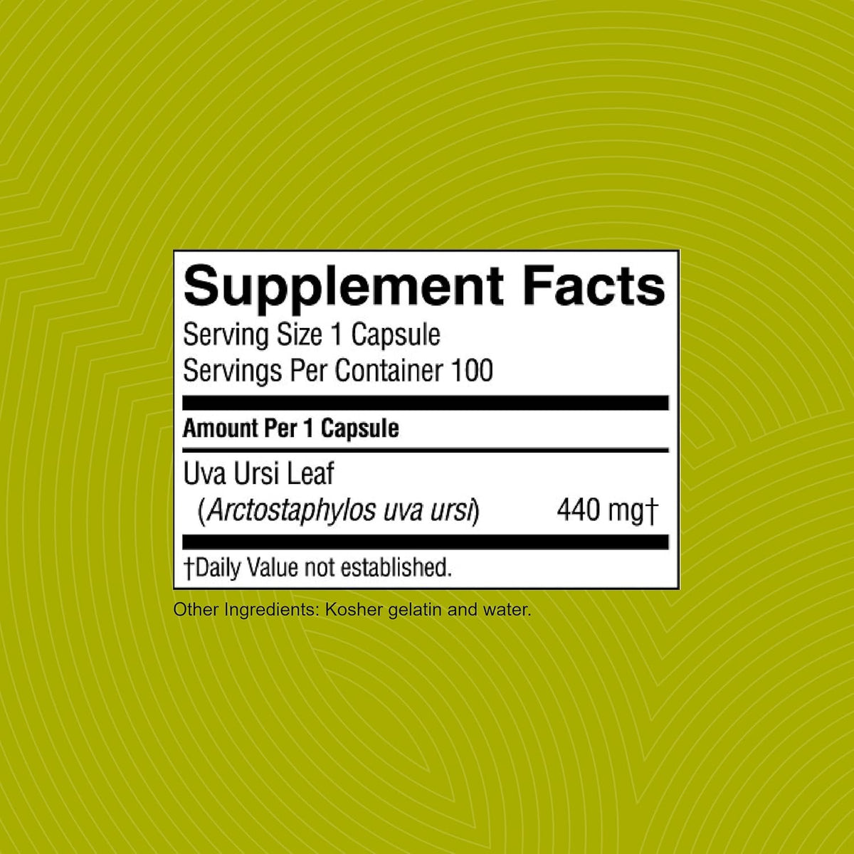 Uva Ursi - 100 Capsules - görsel 3