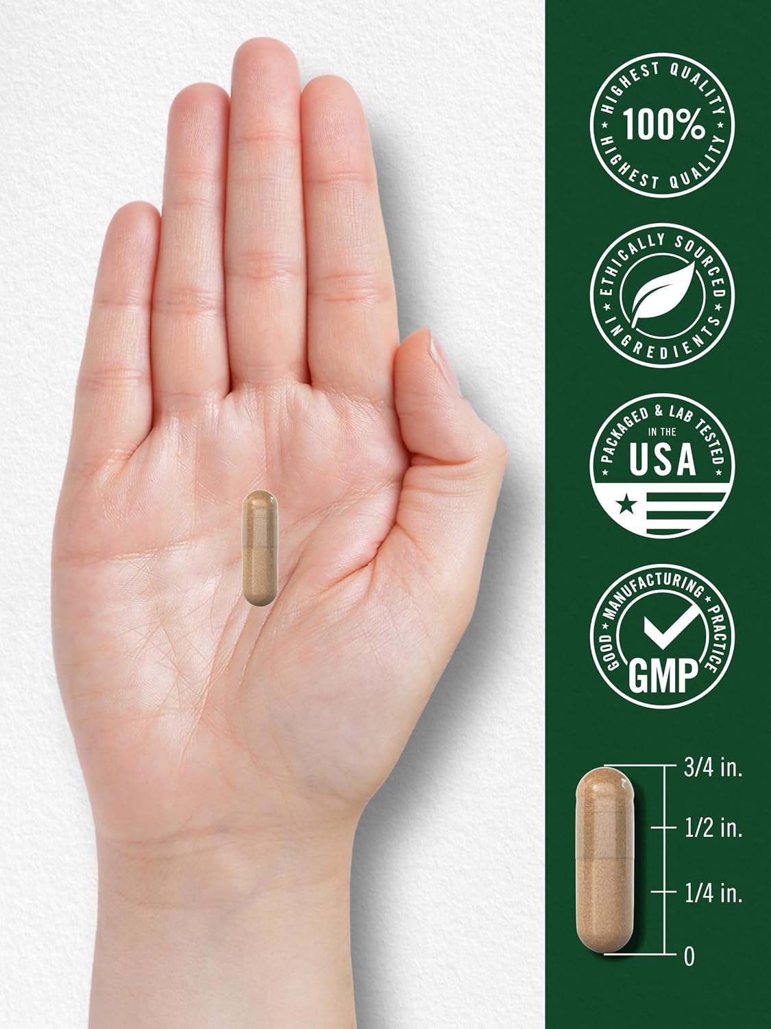 Carlyle Vitex Chasteberry Supplement, 150 Capsules - görsel 7