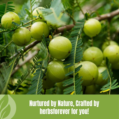 Herbsforever Amla Powder – Phyllanthus Emblica – Rich in Vitamin C & Natural Antioxidants – Supports Healthy Immunity & Digestion – Vegan, Non-GMO Superfood – 230g