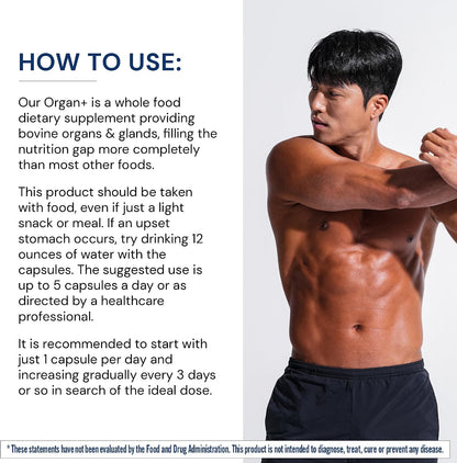 BodyHealth Organ+ Grass-Fed Glandular Organ Complex - 150 Capsules