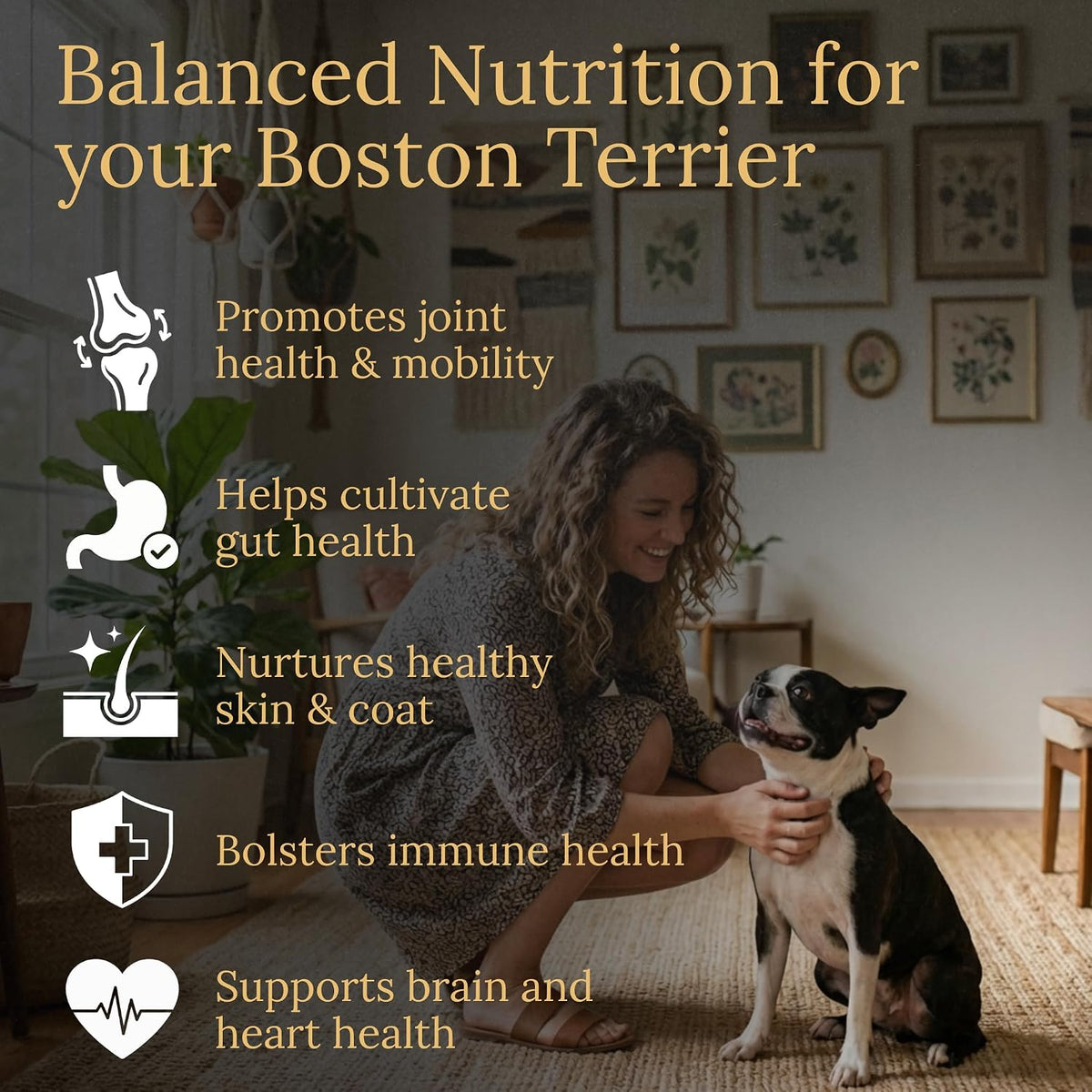 Boston Terrier Multivitamins, 90 Chews, Made in the USA with Real Bacon - görsel 4