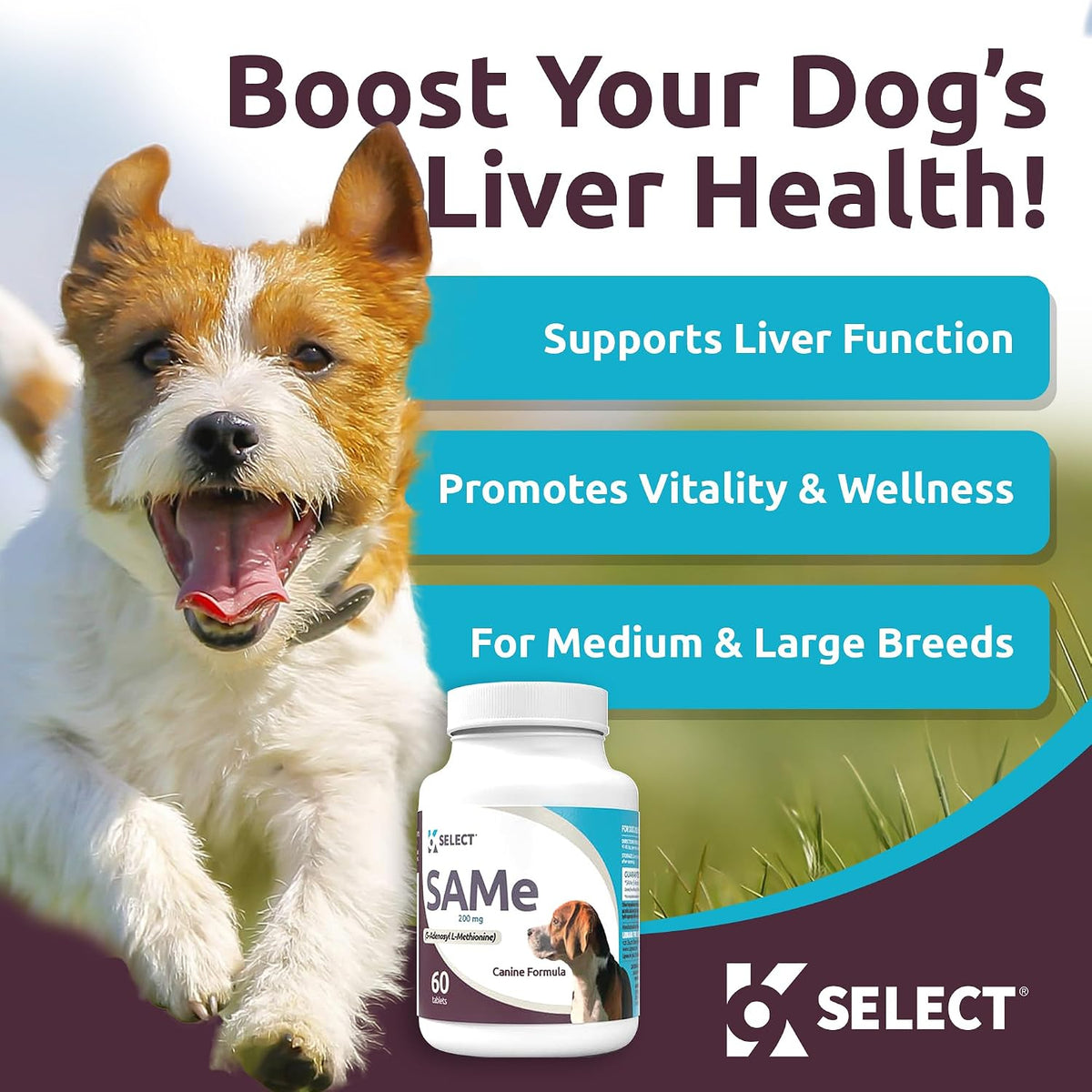 K9 Select SAM-e for Medium and Large Adult Dogs, 60 Tablets, 200mg Active S-Adenosyl L-Methionine - görsel 2