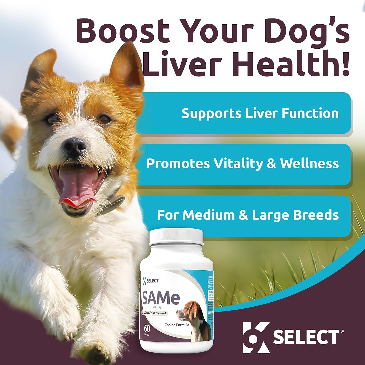 K9 Select SAM-e for Medium and Large Adult Dogs, 60 Tablets, 200mg Active S-Adenosyl L-Methionine - görsel 2