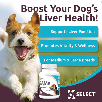 K9 Select SAM-e for Medium and Large Adult Dogs, 60 Tablets, 200mg Active S-Adenosyl L-Methionine