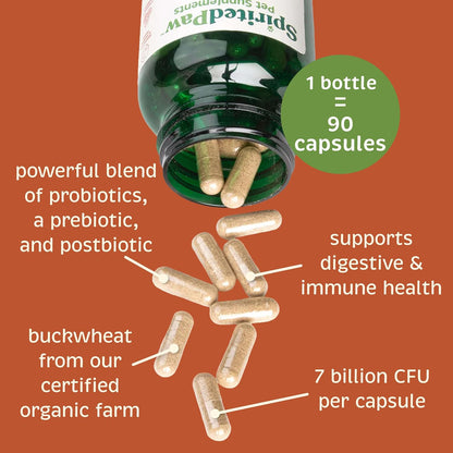 Spirited Paw Probiotic + Gut Health - Digestive & Immune Support for Dogs & Cats - Prebiotic, Probiotic & Postbiotic Pet Care Blend with Organic Buckwheat & Chicory Root Fibre - 90 Capsules