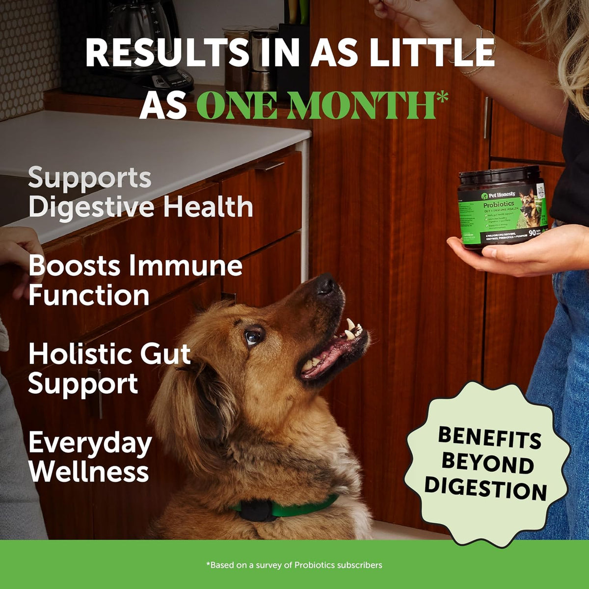 Pet Honesty 6 Billion CFU Dog Probiotics with Prebiotics, Digestive Enzymes & Fibre - Pumpkin Flavour, 90 Chews - görsel 2