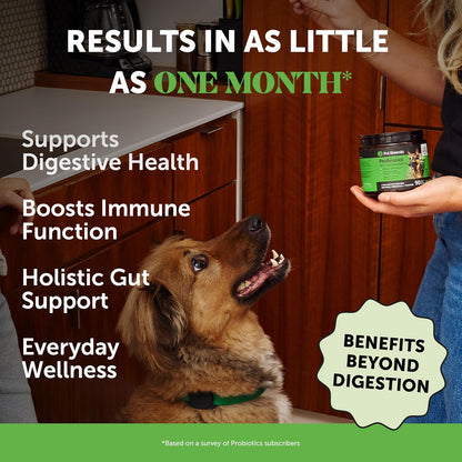 Pet Honesty 6 Billion CFU Probiotics for Dogs with Prebiotics, Digestive Enzymes and Fibre – Pumpkin Flavour, 180 Chews