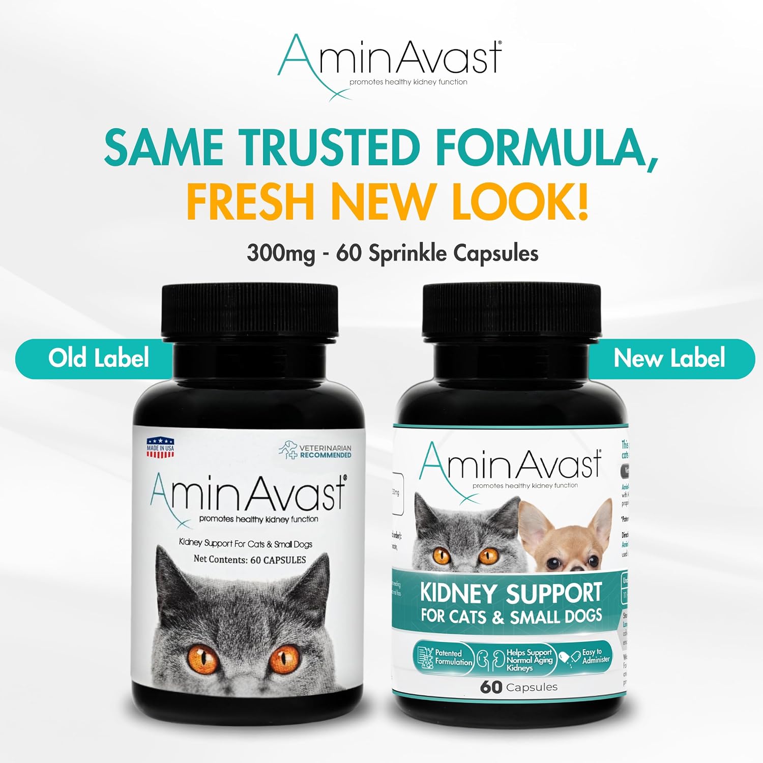 Kidney Support Supplement for Cats and Small Dogs, 300mg 2-Pack - Promotes Natural Kidney Function - Aids in Health and Vitality of Ageing Kidneys - Easily Administered - 60 Sprinkle Capsules - görsel 2