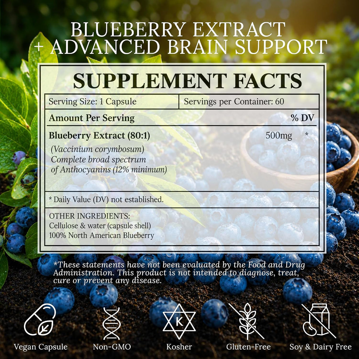 North American Blueberry Extract 500mg - Supports Brain and Cellular Health with Highly Concentrated 80:1 Anthocyanin and Polyphenol Content - Pure Vegan Antioxidant - 60 Capsules - görsel 4