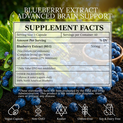 North American Blueberry Extract 500mg - Supports Brain and Cellular Health with Highly Concentrated 80:1 Anthocyanin and Polyphenol Content - Pure Vegan Antioxidant - 60 Capsules