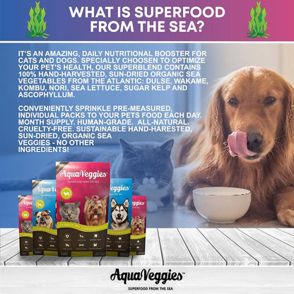 Superfood from the Sea for Pets - Daily Superfood Sachets for Medium & Large Dogs (Month's Supply)