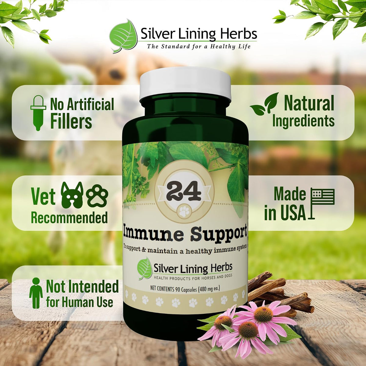 Silver Lining Herbs Dog Immune Support Supplement – Natural Herbal Dog Vitamins, 90 Capsules - görsel 5