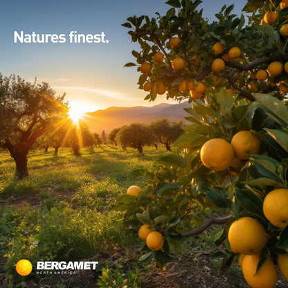 BergaMet Citrus Bergamot Supplement - 170:1 Extract, 1200mg, 80% Polyphenols, 60 Capsules