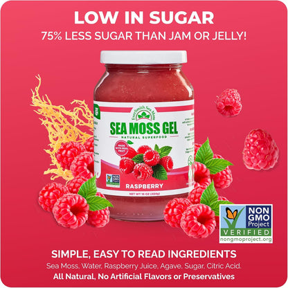 Wildcrafted Irish Sea Moss Gel – Raspberry (473 ml)