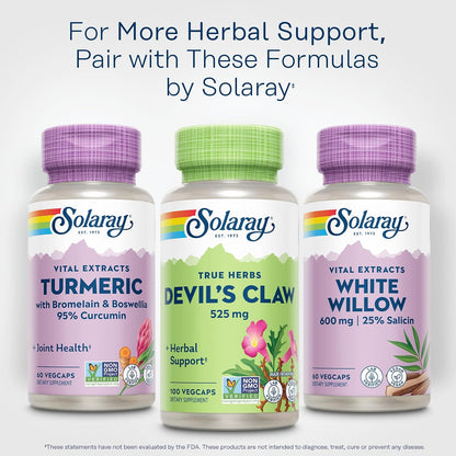Solaray Devil's Claw Root 525 mg - Herbal Supplement for Joint & Cartilage Support - Non-GMO, Lab Tested - 100 Vegan Capsules