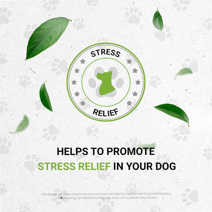 Wolf's Anxiety Natural Herbal Food Supplement for Dogs – Alcohol-Free Extract with Chamomile, Lemon Balm, Lavender, Linden, Fennel – 60 ml