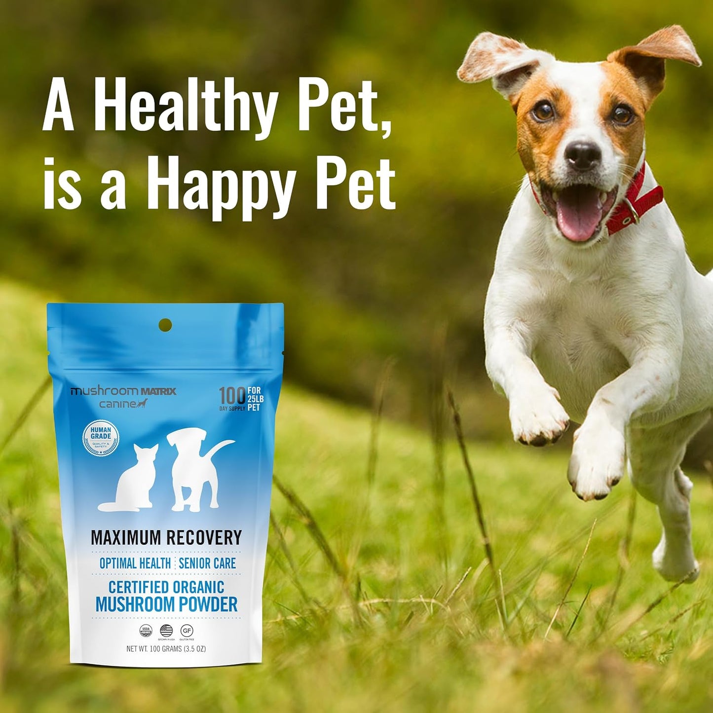 Mushroom Matrix Pet – Canine Maximum Recovery Organic Mushroom Powder, 100g - görsel 5