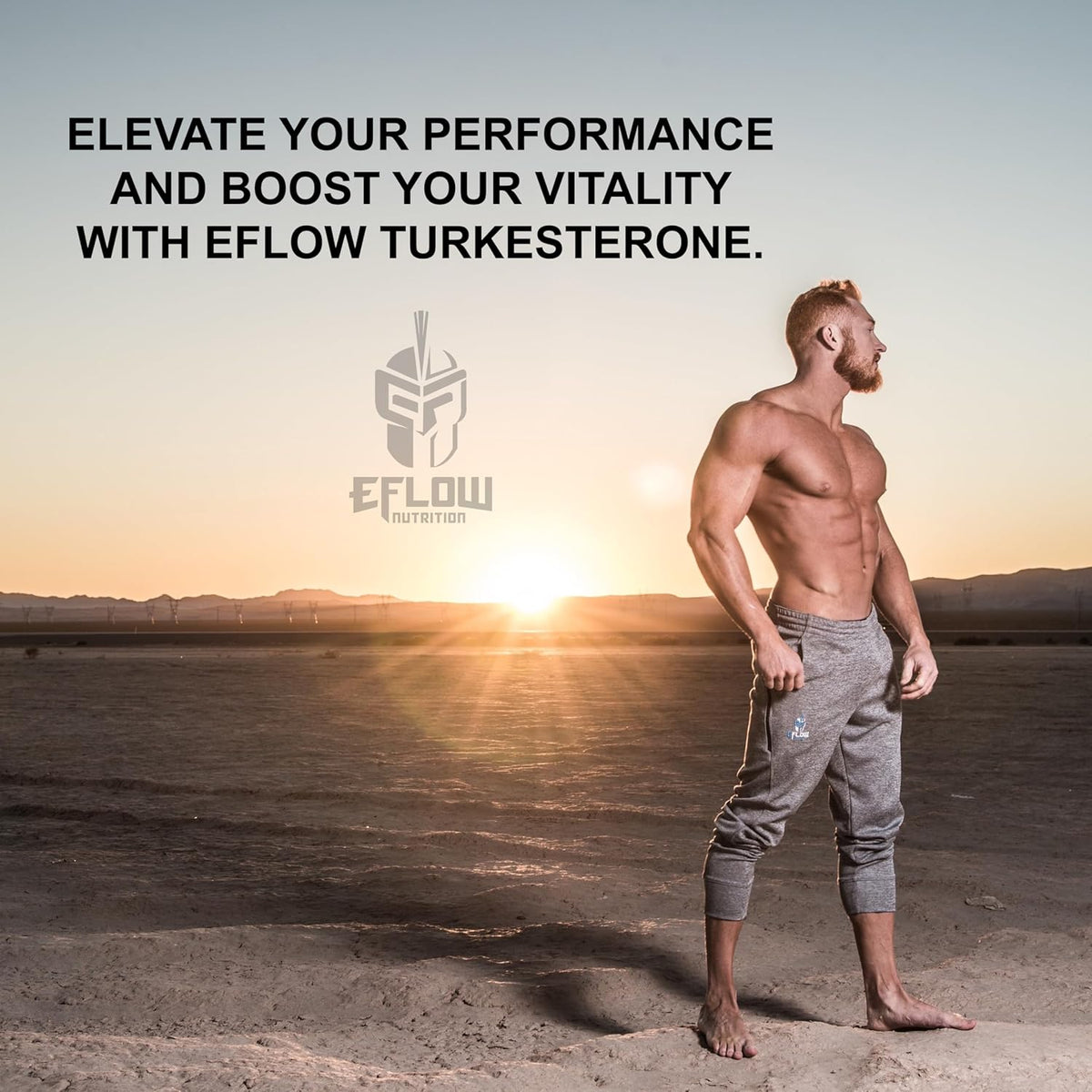 eFlow Nutrition Turkesterone Supplement for Men – High Absorption with Cyclodextrin, 60 Capsules - görsel 6
