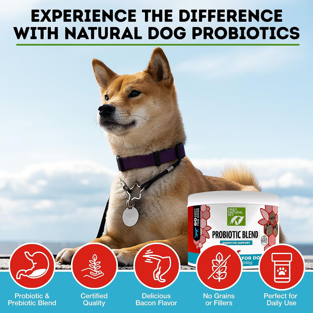 Only Natural Pet Probiotic Dog & Cat Supplement – Digestive and Gut Health Enzyme Formula, Soft Chews, 60 Count - görsel 3