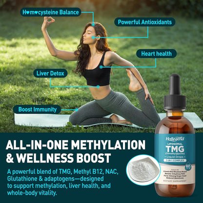 HOLLEGEND Liposomal TMG Supplement Liquid Drops - 1000 mg Trimethylglycine (Betaine Anhydrous) for Methylation Support - Non-GM, Vegan, Blueberry Flavour - 60 ml