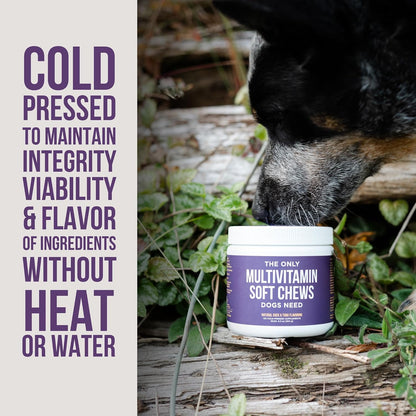 Natural Rapport Dog Multivitamin Soft Chews - 120 Chews