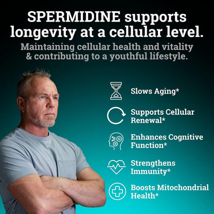 Spermidine Food Supplement – 1440mg (99% Pure) – 120 Capsules – 4 Month Supply
