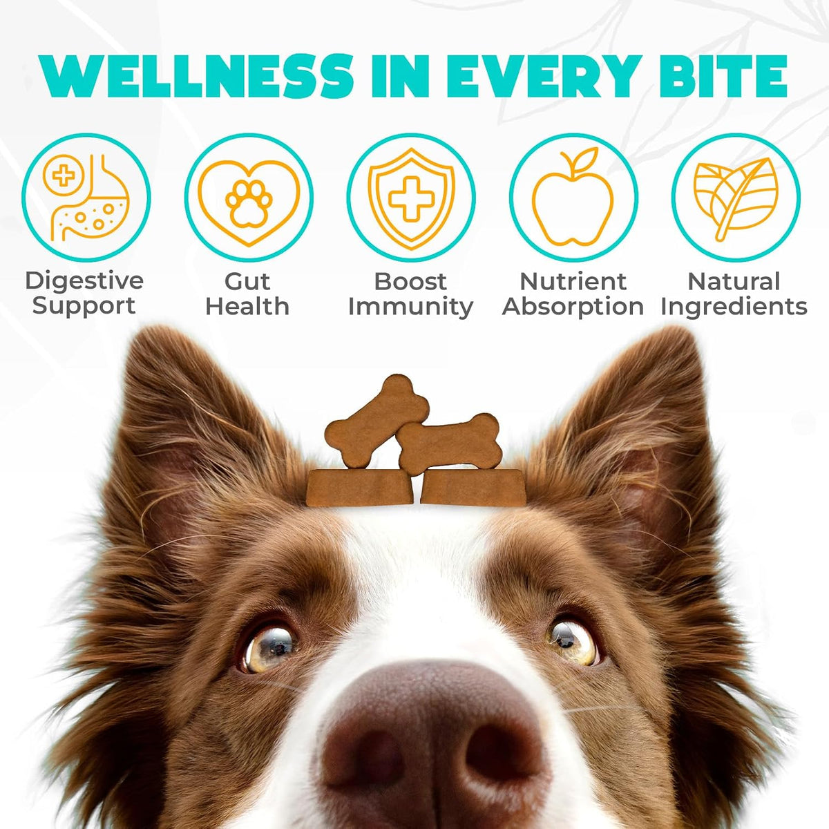 OKKÖBI Probiotics for Dogs Chews – Beef Flavour – 60 Chews - görsel 2