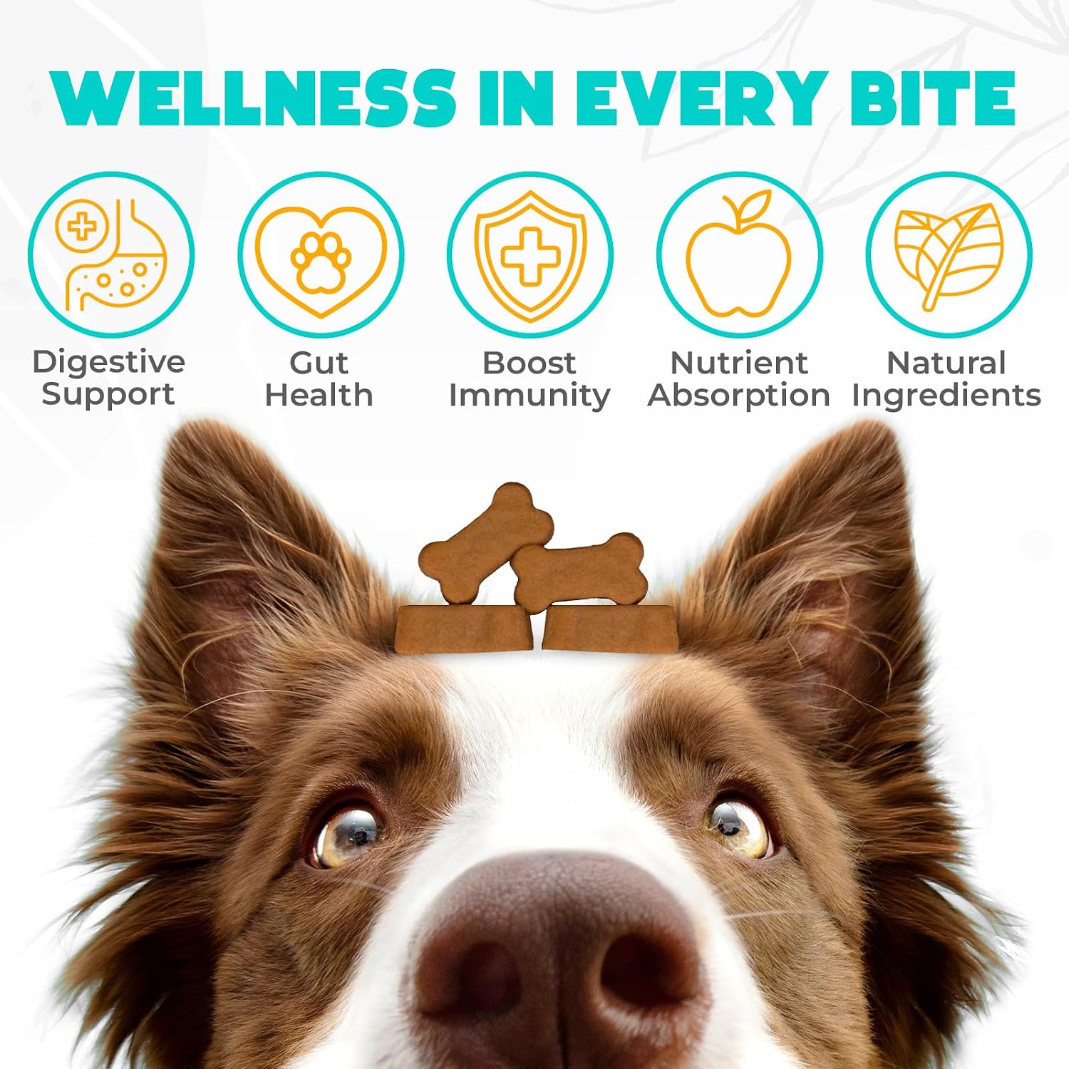 OKKÖBI Probiotics for Dogs Chews – Beef Flavour – 60 Chews - görsel 2