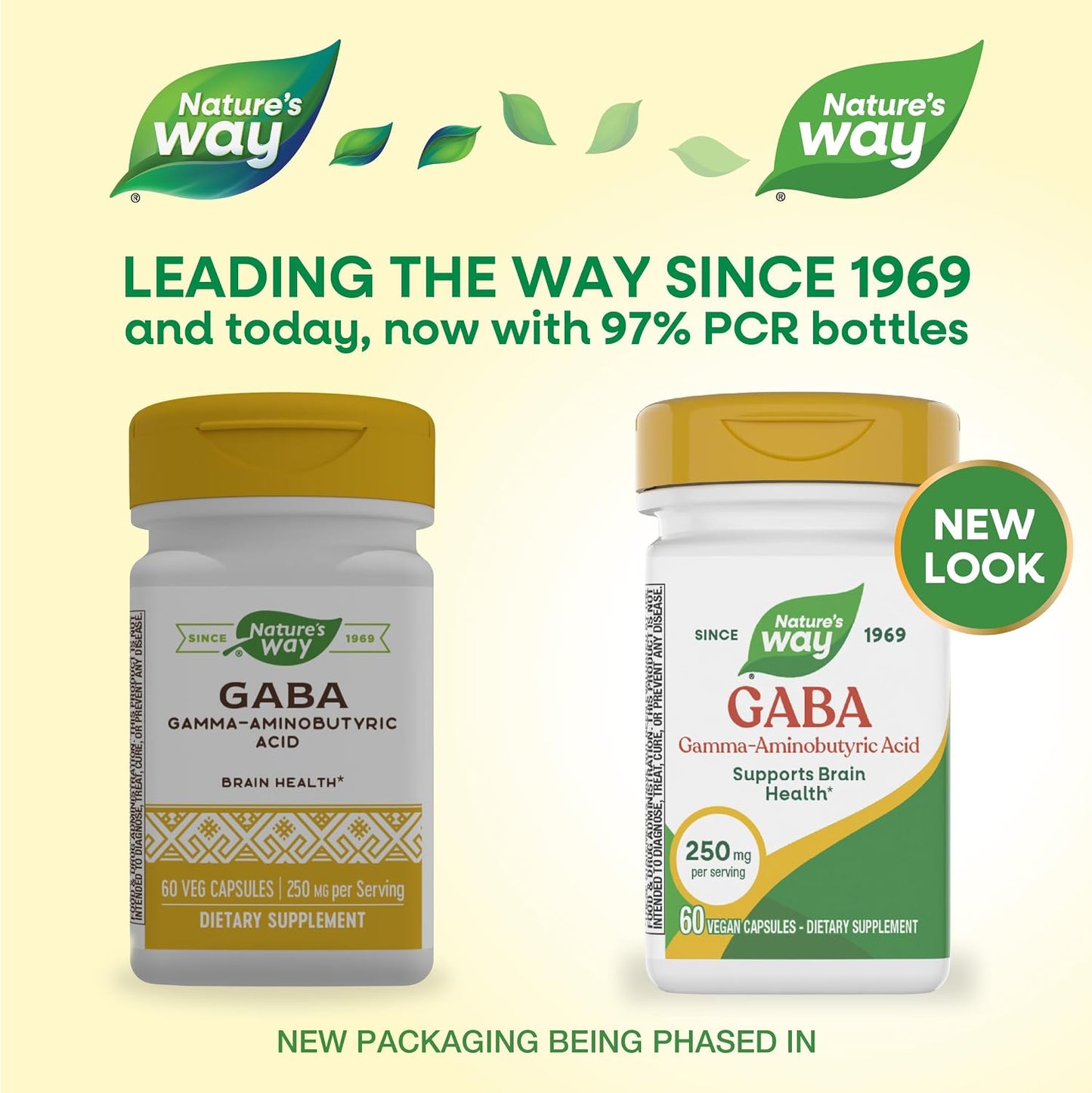 Nature's Way GABA, 250 mg, 60 Vegan Capsules - Brain Health Support - görsel 2
