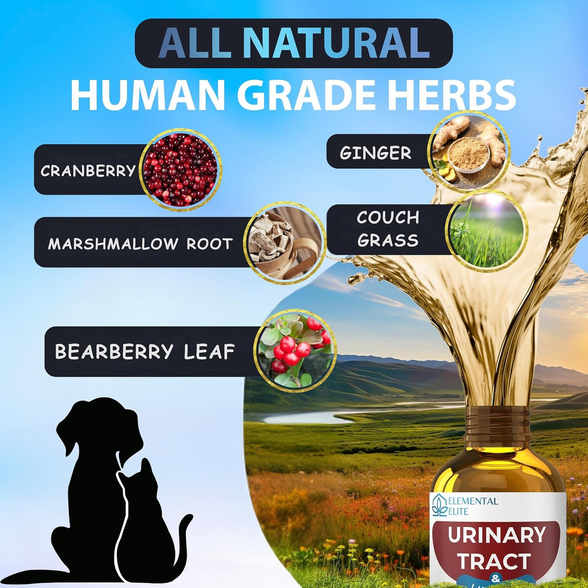 EDUZEBRA Urinary Tract Health Treatment for Dogs & Cats – Natural Herbal UTI Support Drops with Cranberry Extract - görsel 4
