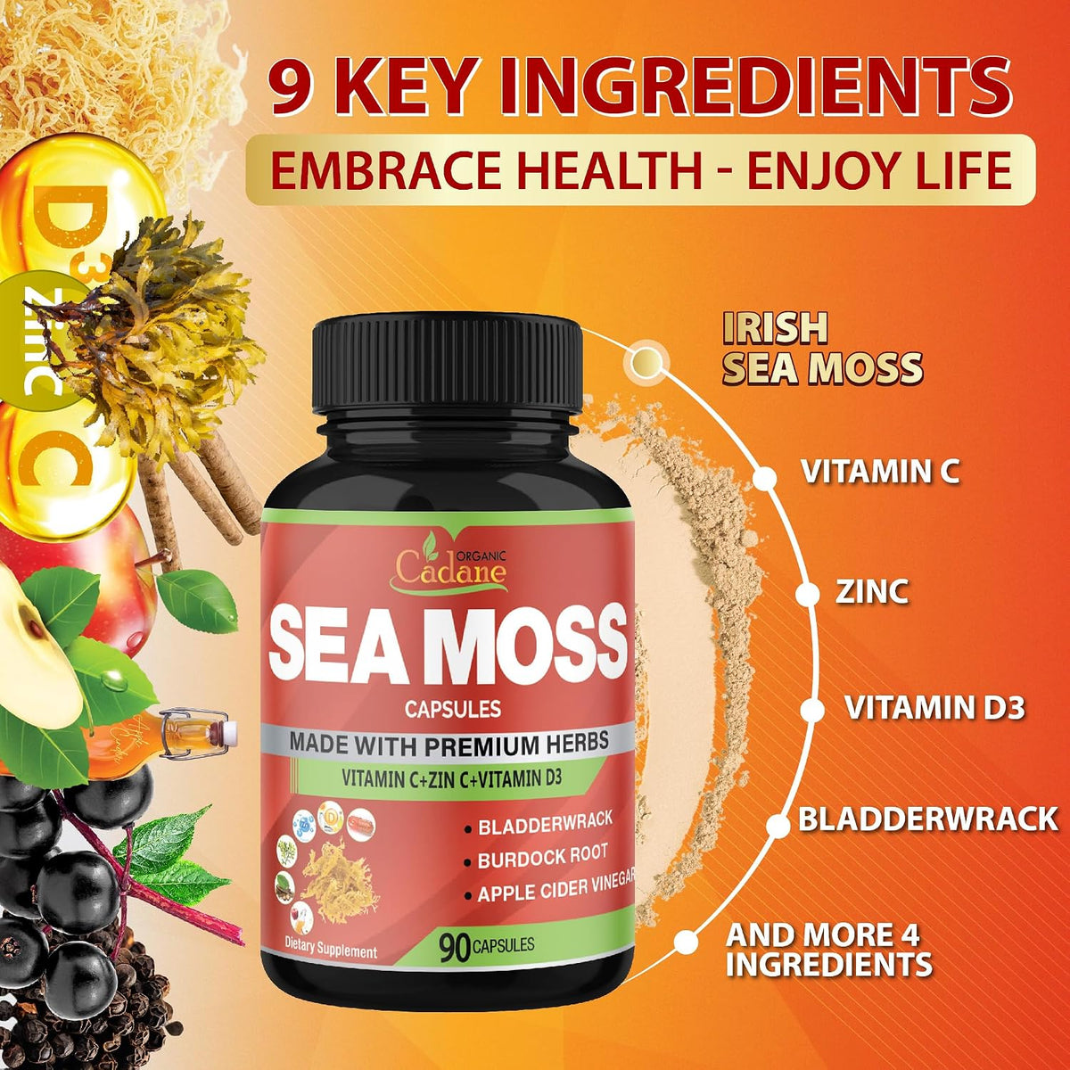 Organic Cadane Irish Sea Moss Extract Capsules – Contributes to Normal Immune Function & General Health – 90 Capsules - görsel 5