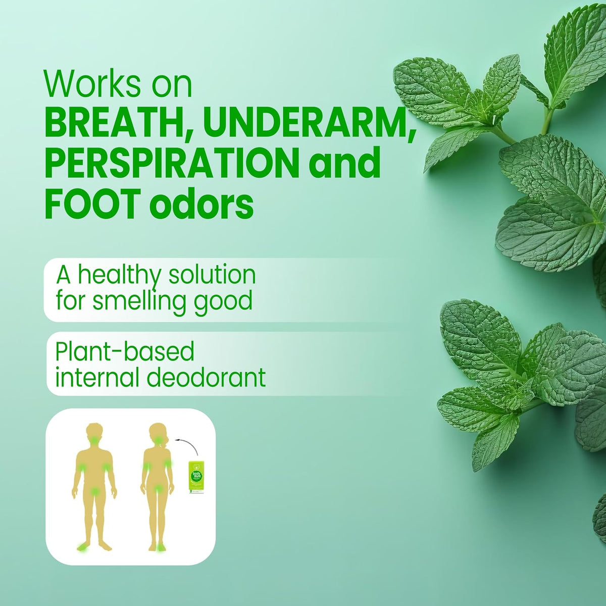 Body Mint Original - Chlorophyll Deodorising Supplement for Full Body Freshness (50 Tablets) - görsel 3