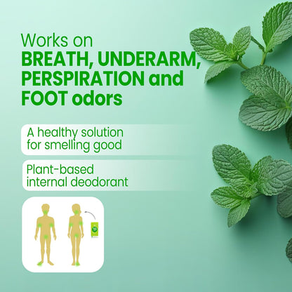 Body Mint Original - Chlorophyll Deodorising Supplement for Full Body Freshness (50 Tablets)