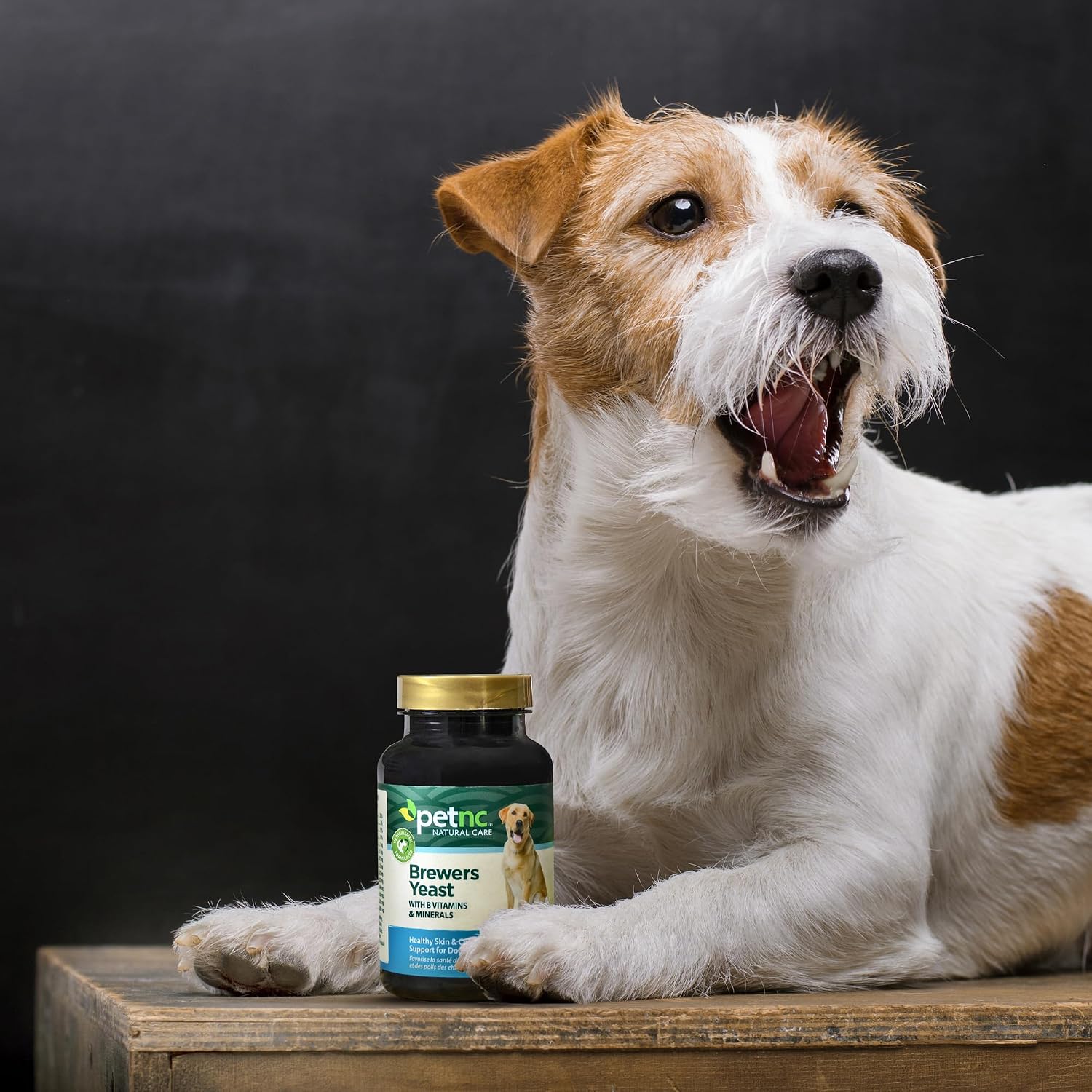 PetNC Natural Care Brewers Yeast Dog Skin and Coat Supplement, 250 Chewables - görsel 5