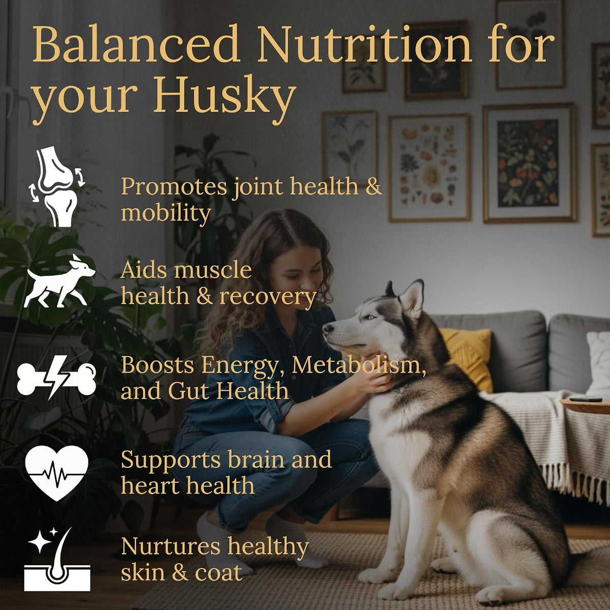 Multivitamins, Balanced Nutrition for Your Husky, 90 Count, Made in the USA with Real Bacon Flavour - görsel 2