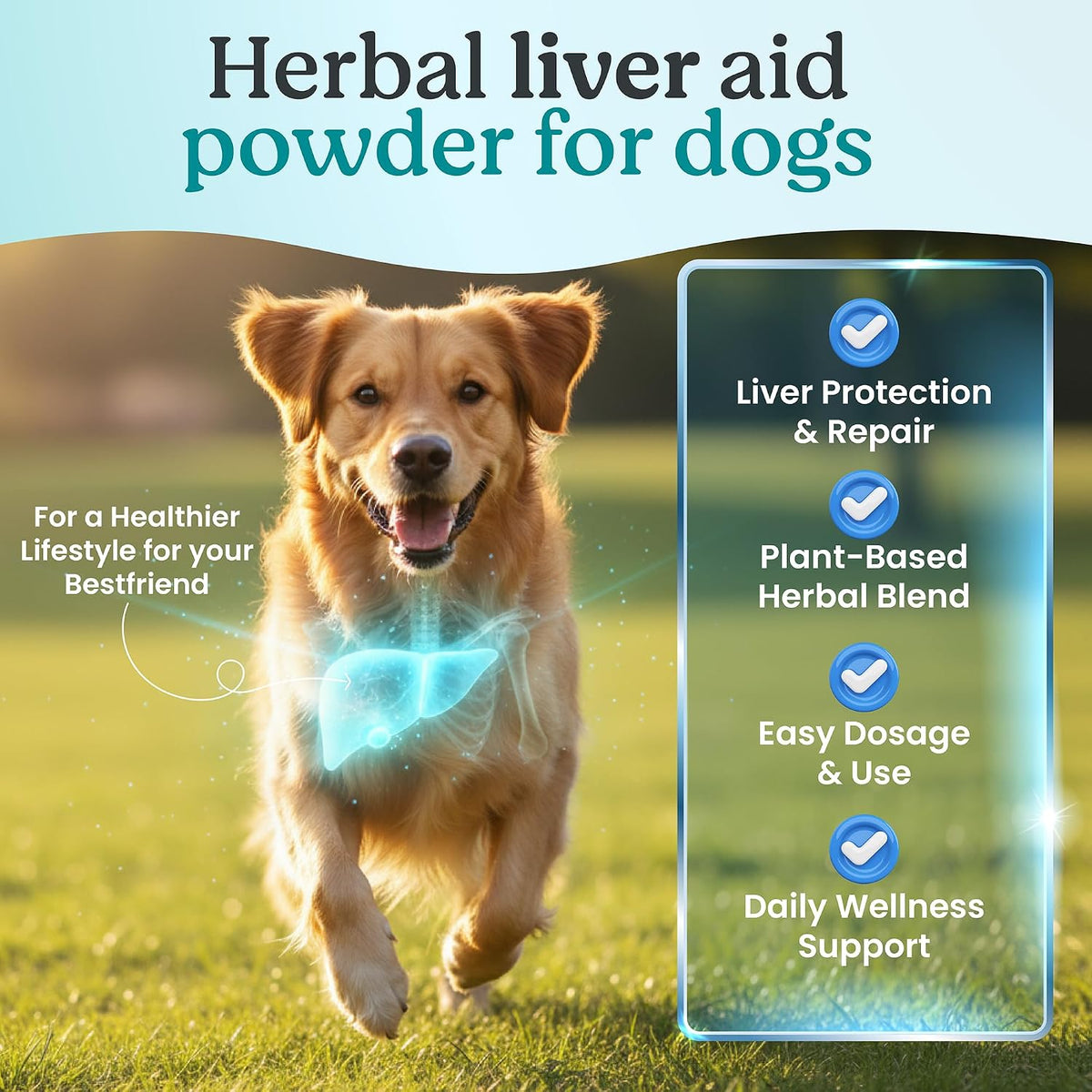 High Potency Liver Support & Detox Powder for Dogs – Veterinary Strength Milk Thistle & Turmeric – 100g - görsel 5