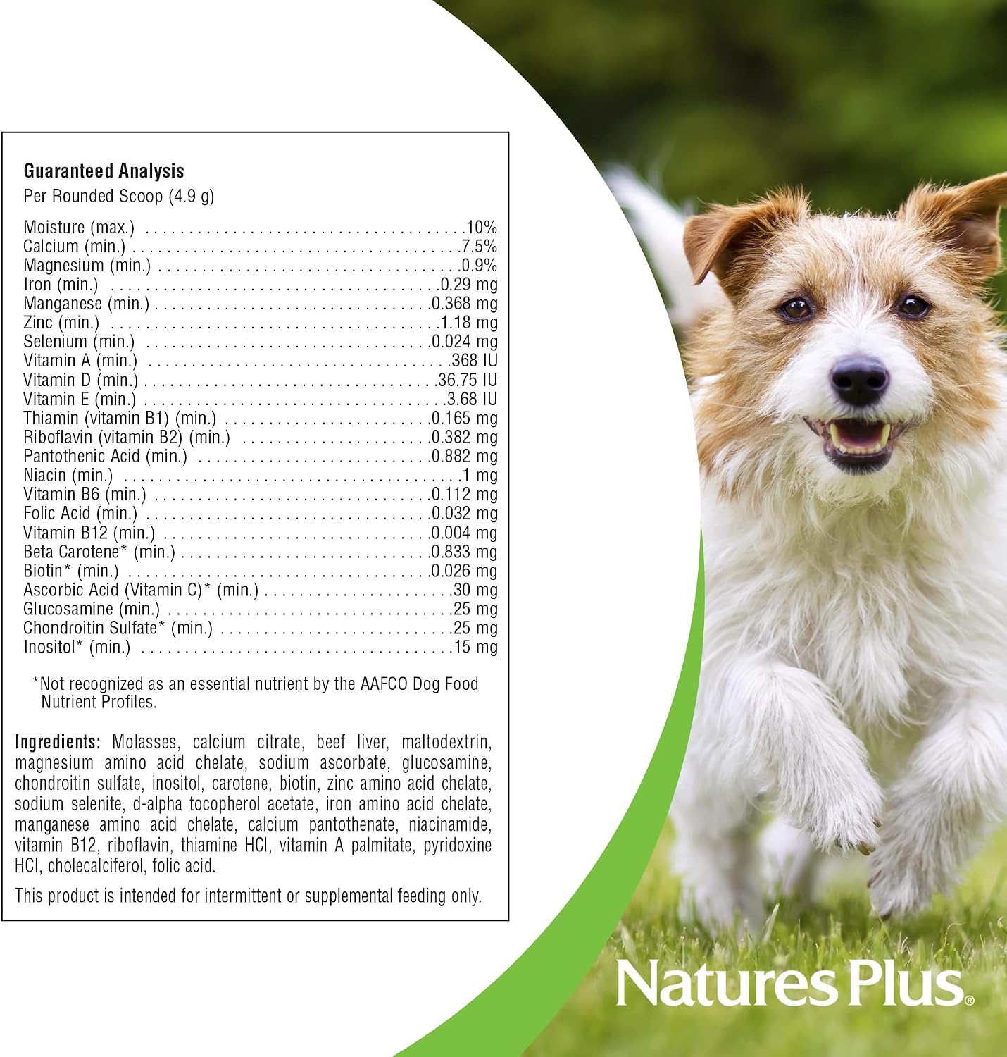 NaturesPlus FurBaby Multivitamin for Dogs - 295 g (60 Servings) - görsel 4