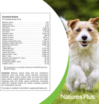 NaturesPlus FurBaby Multivitamin for Dogs - 295 g (60 Servings)