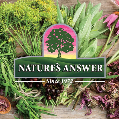 Nature's Answer Butcher's Broom Root Supplement – 90 Capsules (Pack of 2), Vegan & Gluten-Free